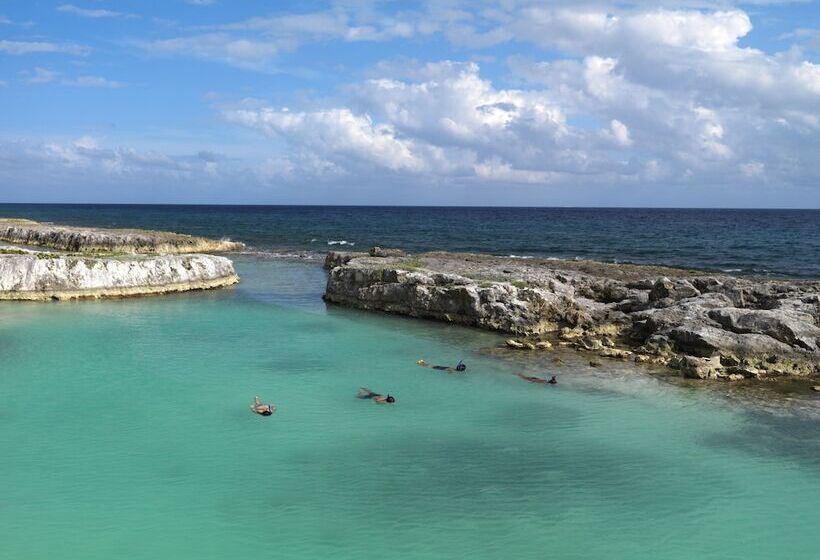 Hôtel Hard Rock  Riviera Maya  Hacienda All Inclusive