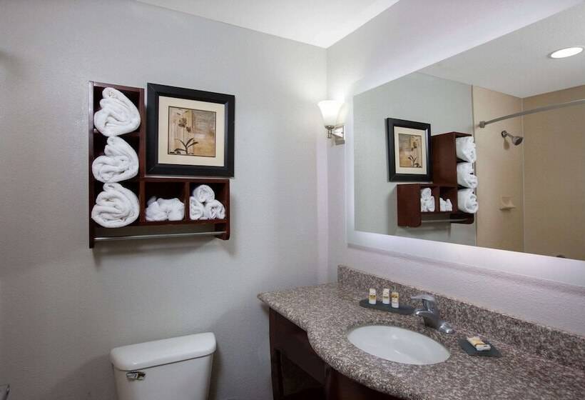 هتل La Quinta By Wyndham Tupelo