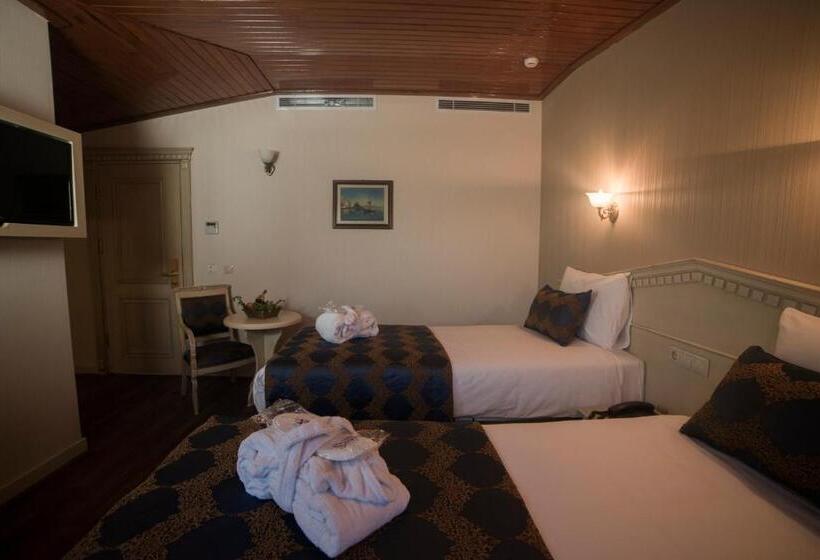 Fotos del hotel Sarnic Hotel & Sarnic Premier Hotel(ottoman Mansion):  5