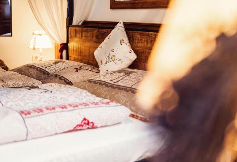 호텔 šumava Inn
