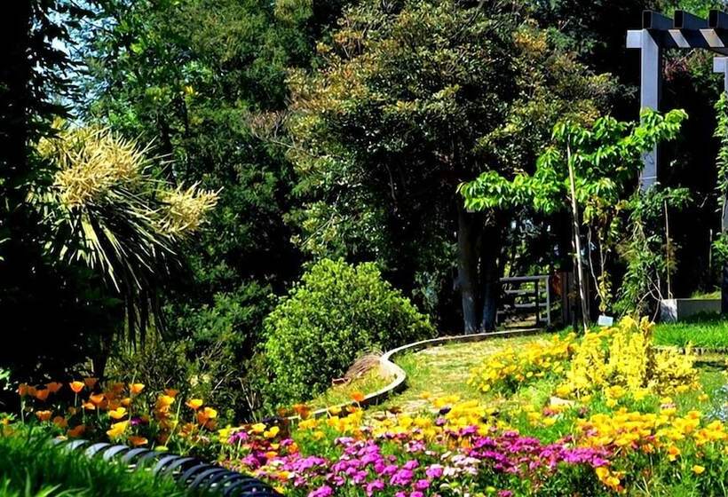 هتل Miramare Magnetic Beach