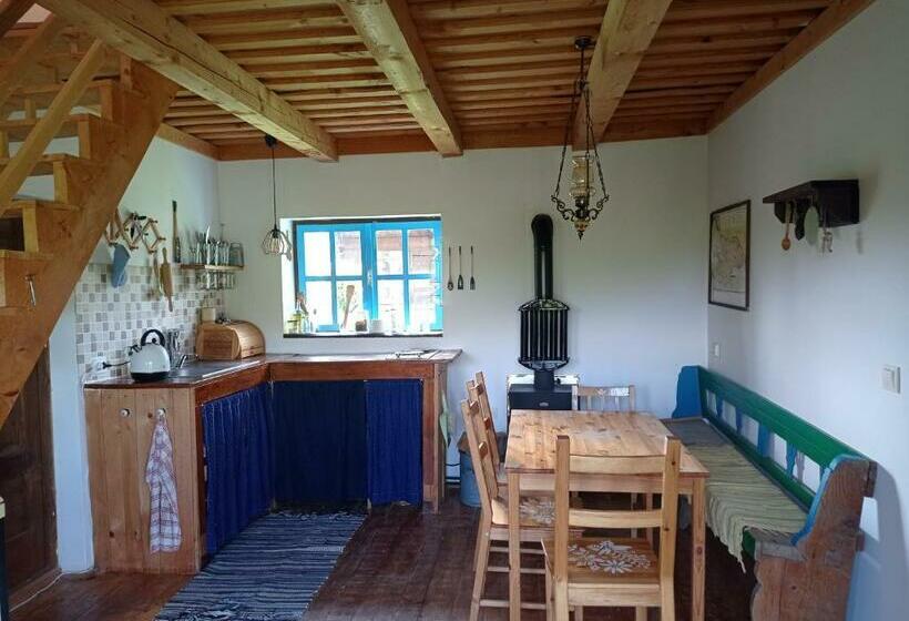 ユースホステル Babou Maramures