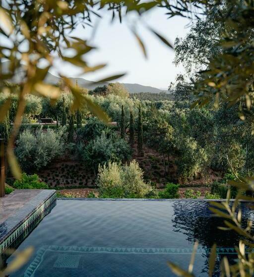 هتل Olinto, Atlas Mountain Retreat   Adults Only