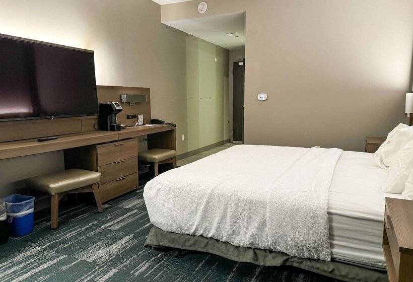 هتل Best Western Plus Grand Rapids Mn