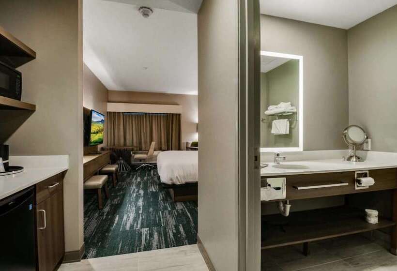 هتل Best Western Plus Grand Rapids Mn