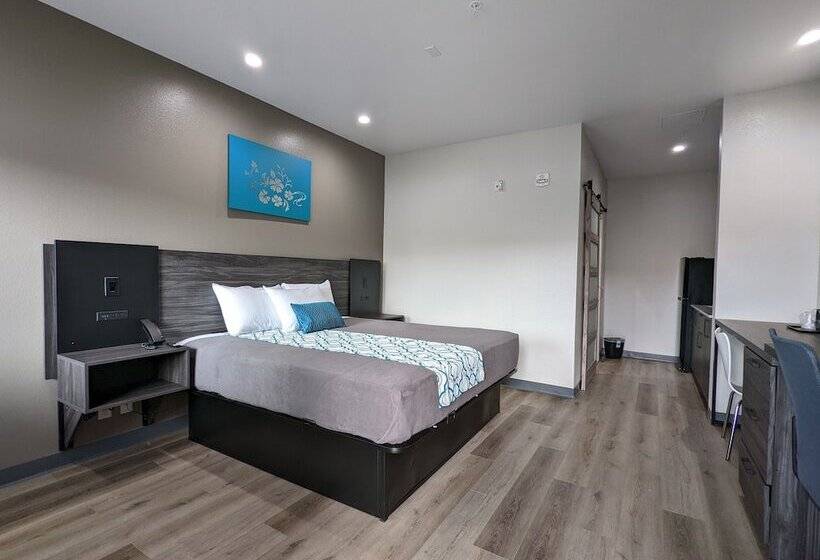 هتل Crystal Inn Jacinto City