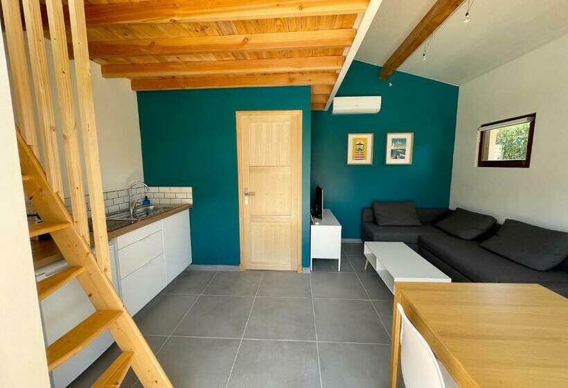 پانسیون Annexe Des Pins Studio Gîte Avec Piscine & Climatisation