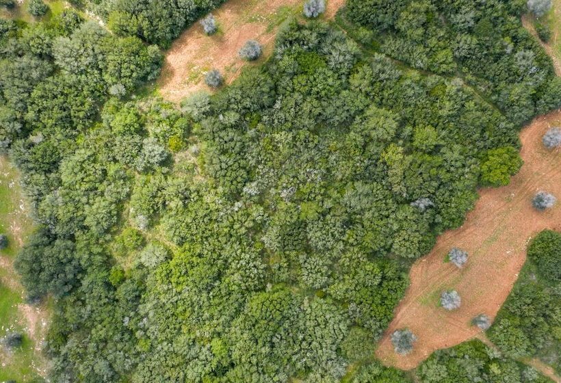 ホテル Masseria Lilei