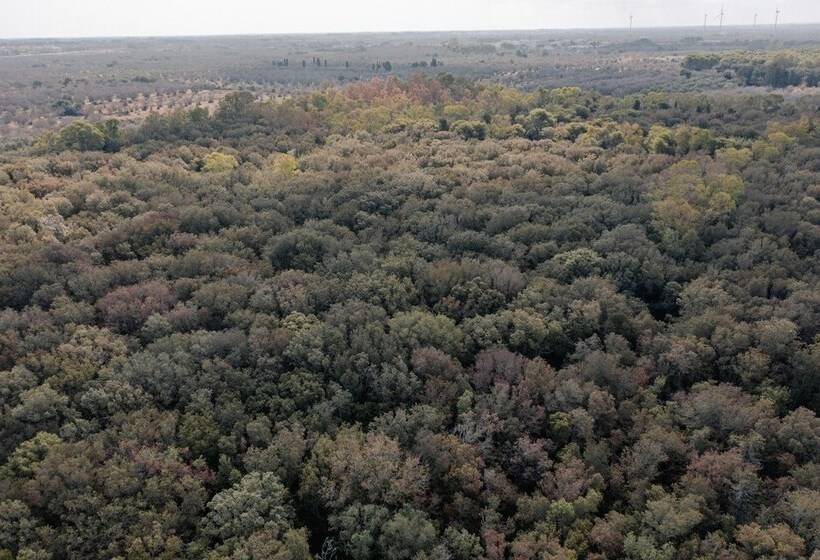 ホテル Masseria Lilei