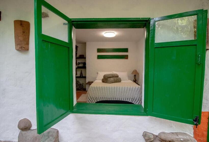 פנסיון Finca Los Abuelos   La Planta