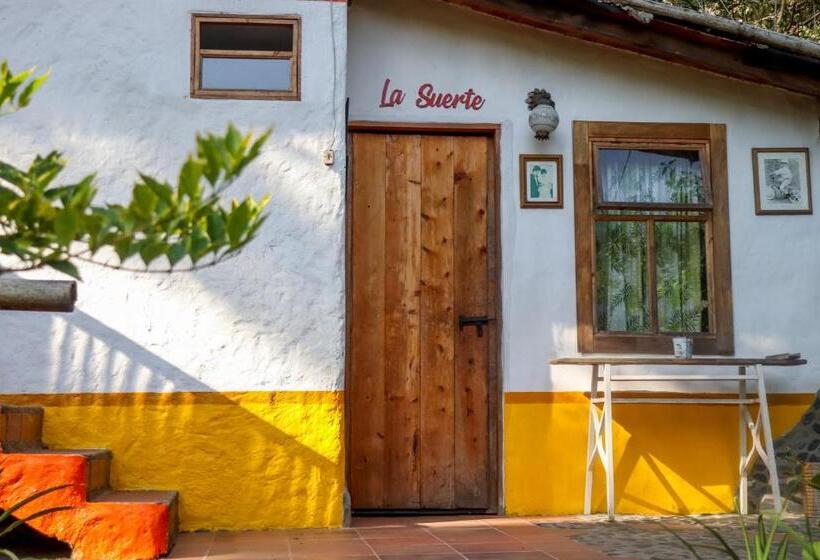 פנסיון Finca Los Abuelos   La Planta