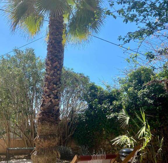 Gîte Le Palmier   Perfectly Located Cosy Studio With Private Garden