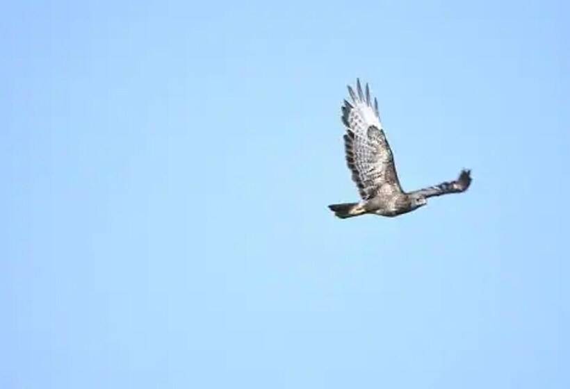Peaceful Cabin Retreat In Skegby