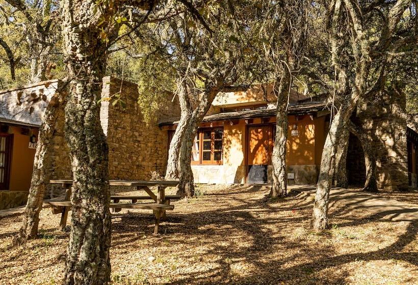 Albergue Inturjoven Cortes De La Frontera