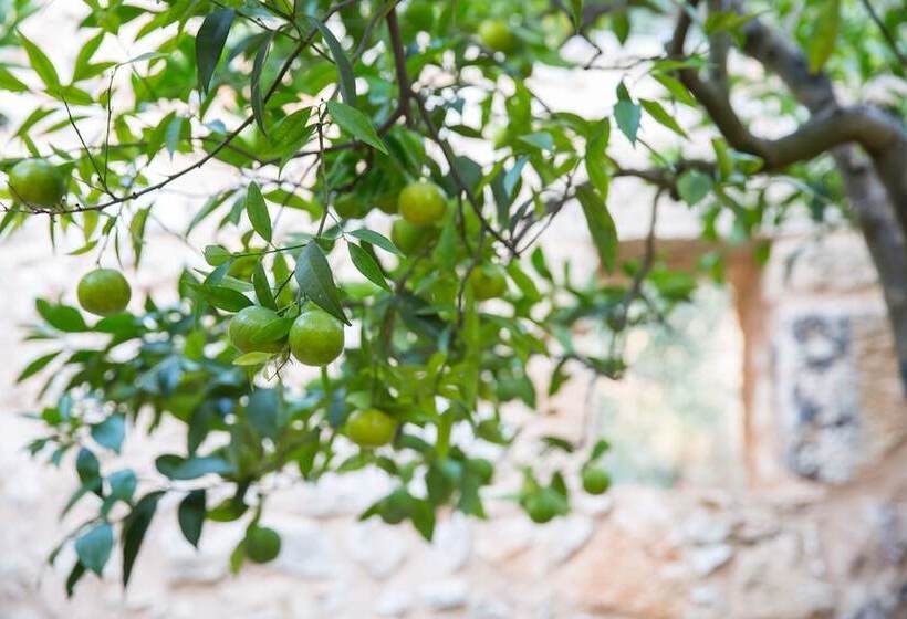 ベッドアンドブレックファースト Masseria Saietti