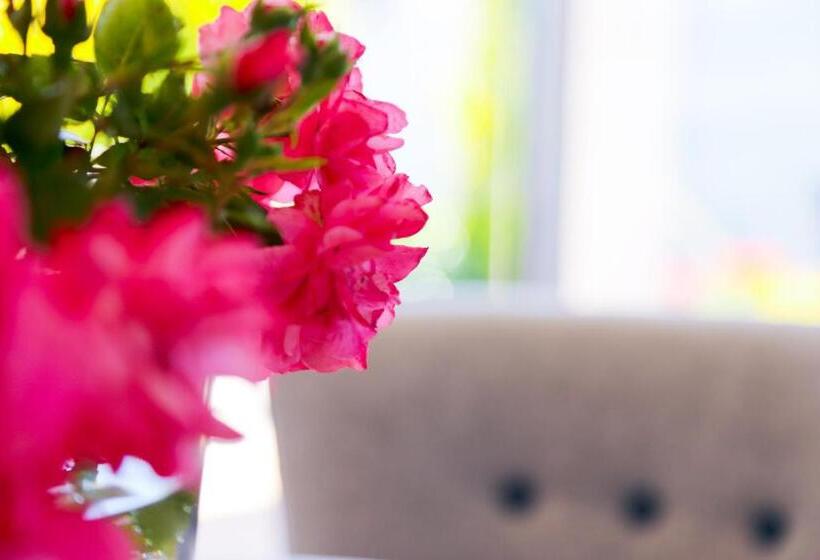 ベッドアンドブレックファースト Pension Reiter Moravec