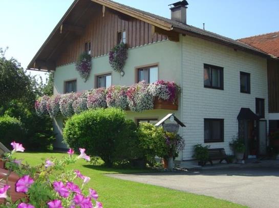 ホテル Gästehaus Jedinger