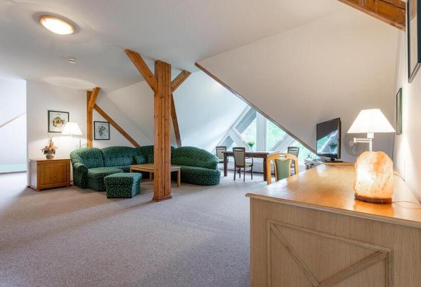 هتل Sanatorium Mariot