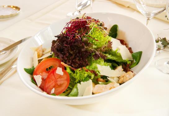 בית מלון כפרי Schloss Böttstein