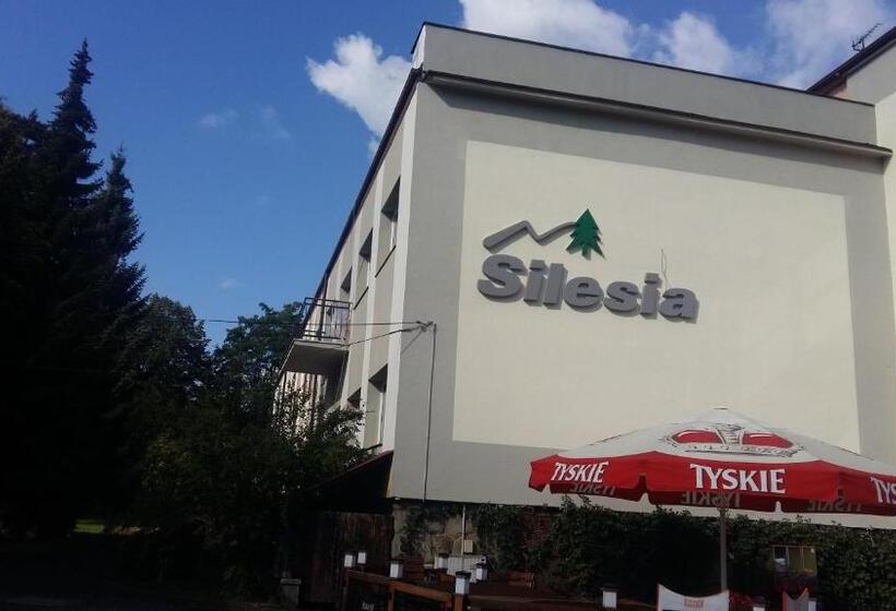 Отель Silesia