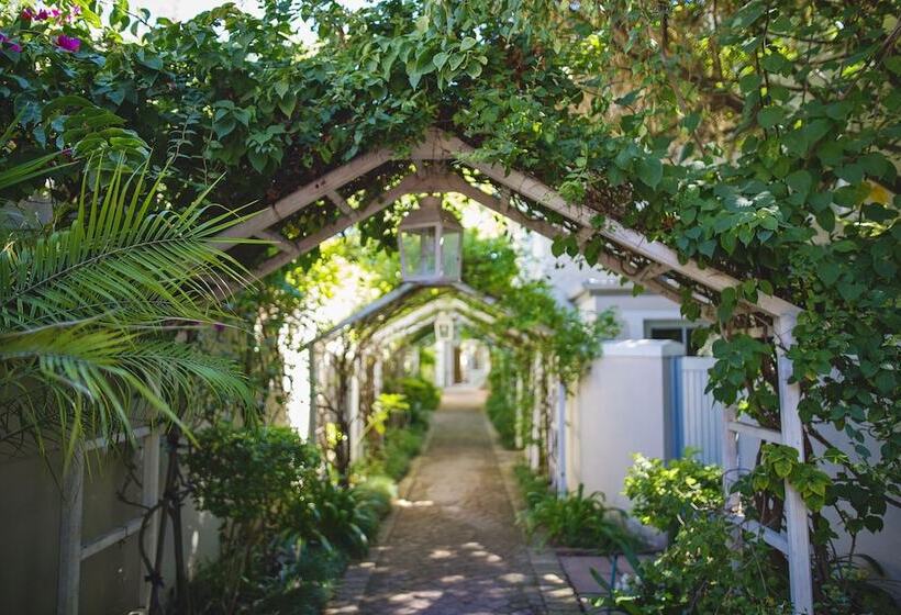 هتل Last Word Franschhoek