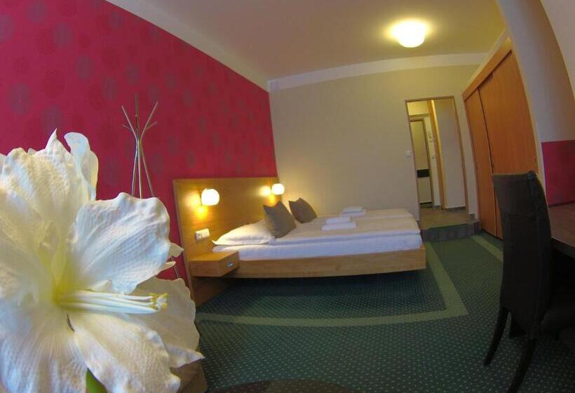 هتل Vacek Pod Věží