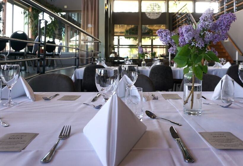 酒店 Dinners Mellerud