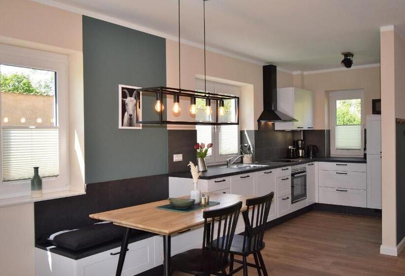 Backhaus 4