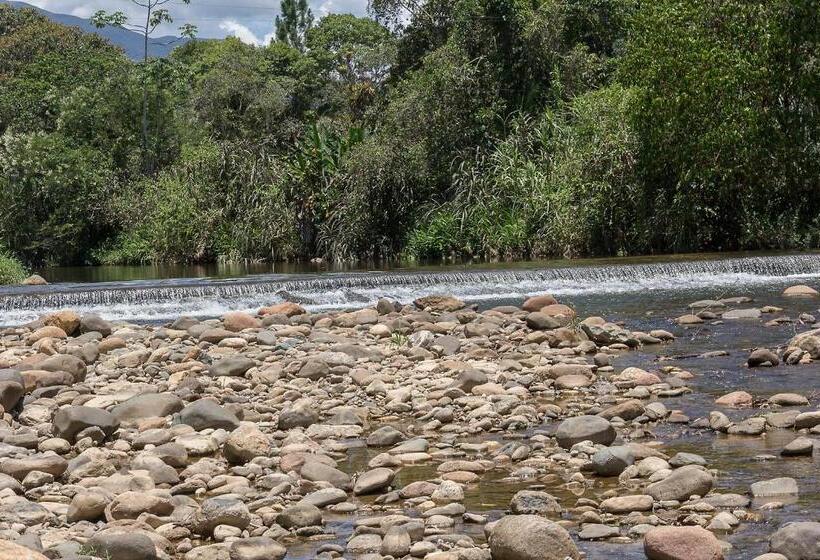 Caminho Do Rio