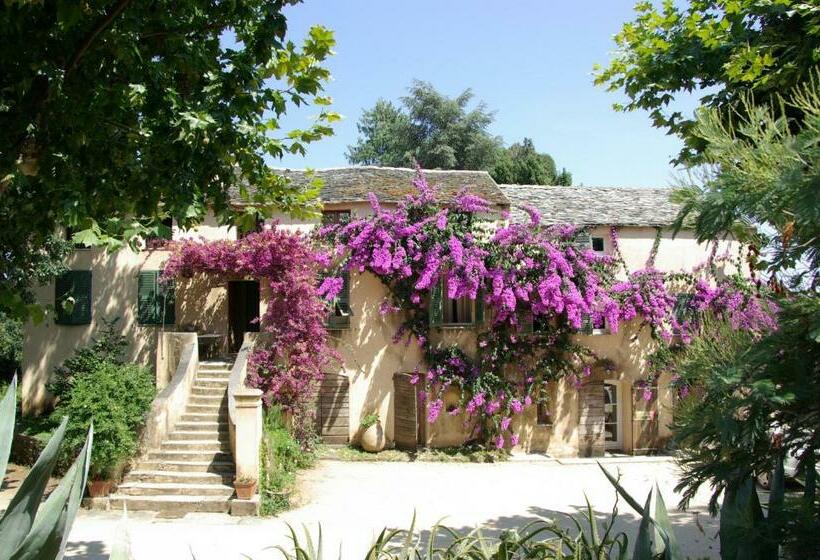 تختخواب و صبحانه Domaine De Valle