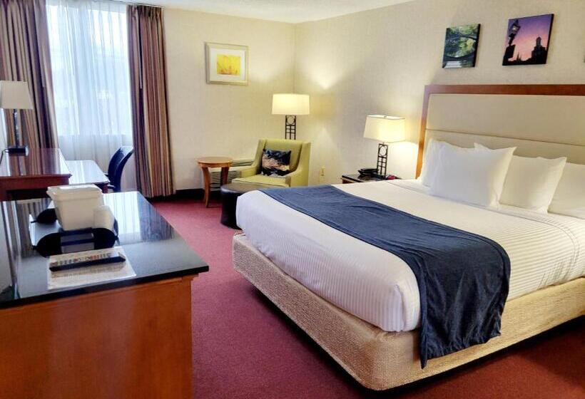 בית מלון כפרי Bangor Grande