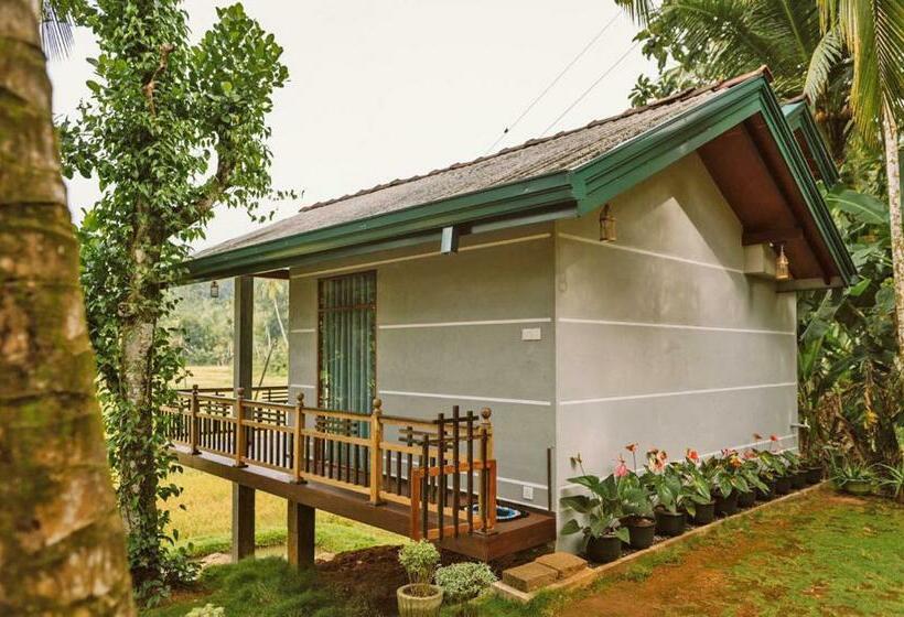 فندق Rainforest Nest