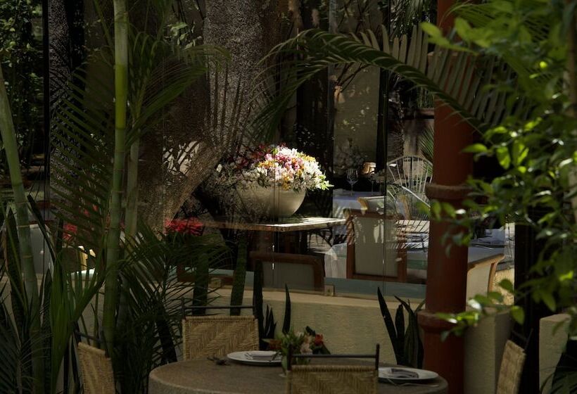 هتل Casa Limon Malinalco