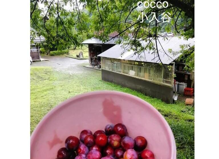 پانسیون くつき鯖街道 古民家cocco小入谷 一日一組貸切