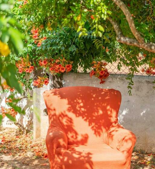 민박 Vivenda Aromas Do Algarve