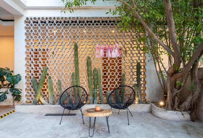 Soy Local Santa Marta