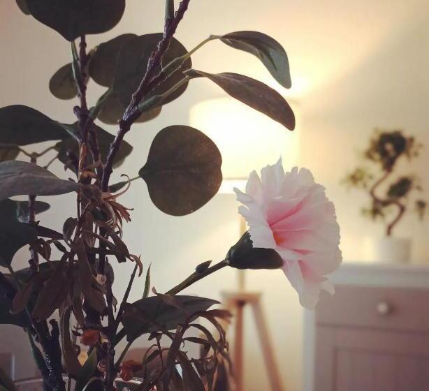 Une Parenthèse à Dives Sur Mer