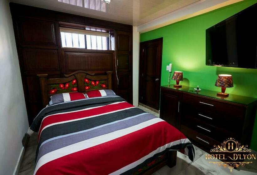 هتل Hôtel D’lyon