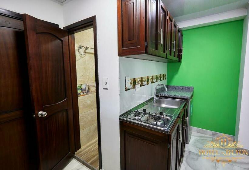 هتل Hôtel D’lyon