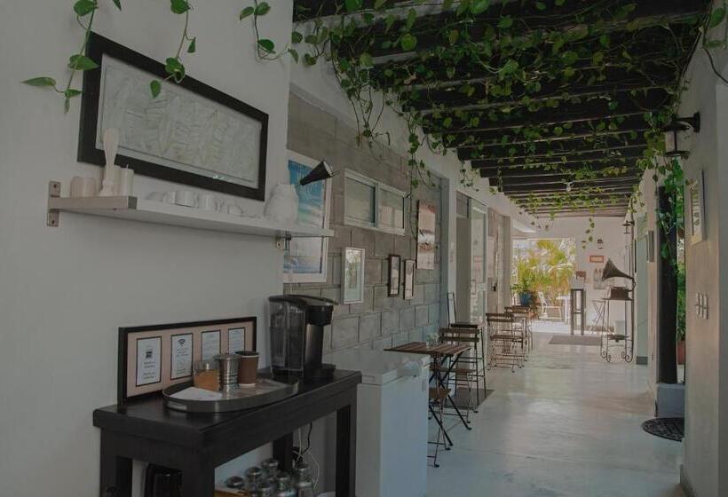 بنسيون Casa Ines