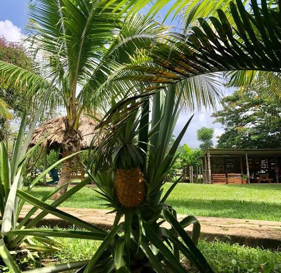הוסטל Mana Kai Camping & Cabins
