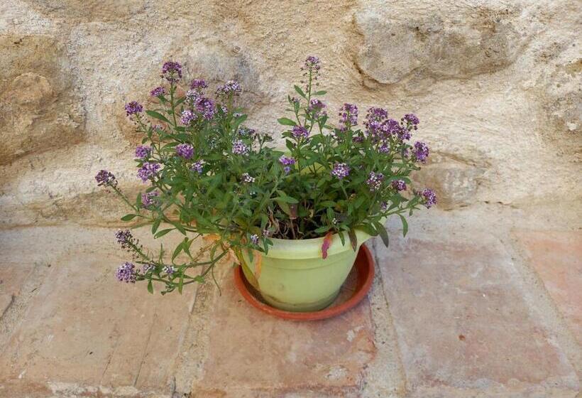 הוסטל Rincón De Guara