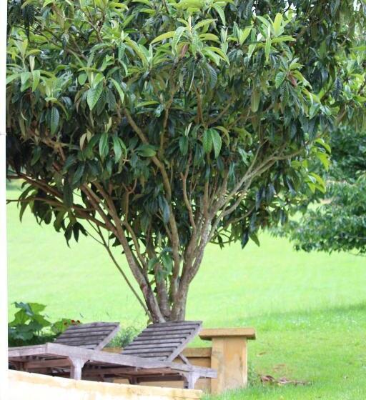 تختخواب و صبحانه La Maison Thimadaise