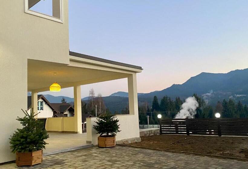 پانسیون Alpin House Colibita