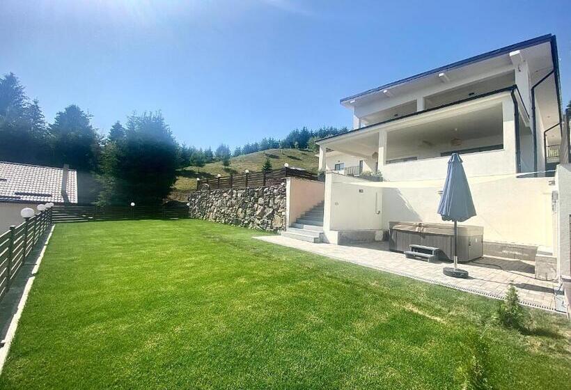 پانسیون Alpin House Colibita