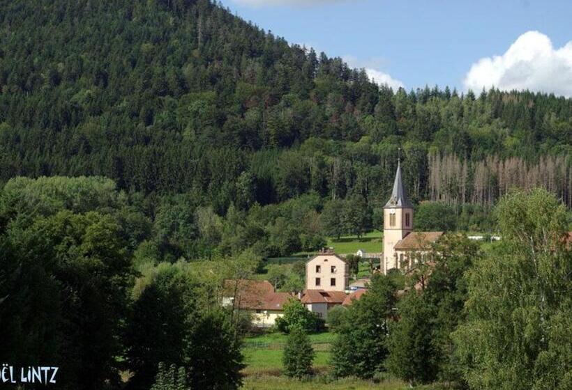 Spacieux Gîte Vosgien 3 épis Pour 4 Pers, Randonnées Et Vtt, Environnement Calme Et Verdoyant   Fr 1
