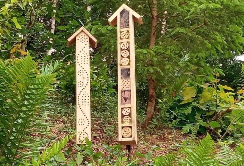 Spacieux Gîte Vosgien 3 épis Pour 4 Pers, Randonnées Et Vtt, Environnement Calme Et Verdoyant   Fr 1
