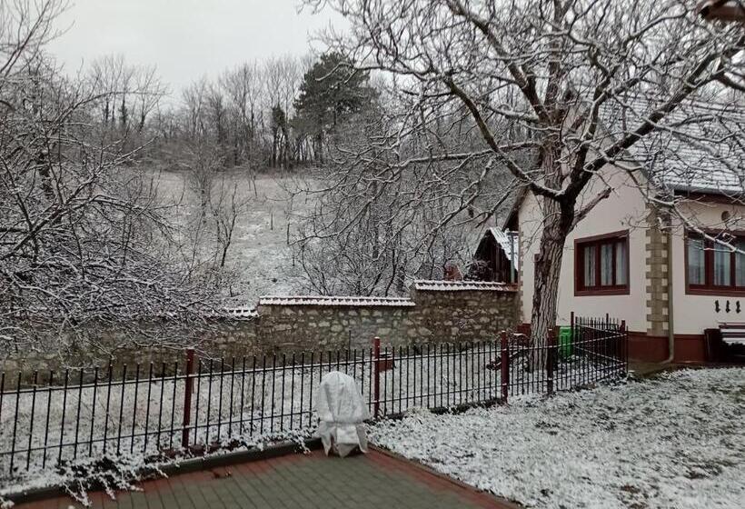 Пансион Casa Dragoi Din Socolari, Caras Severin