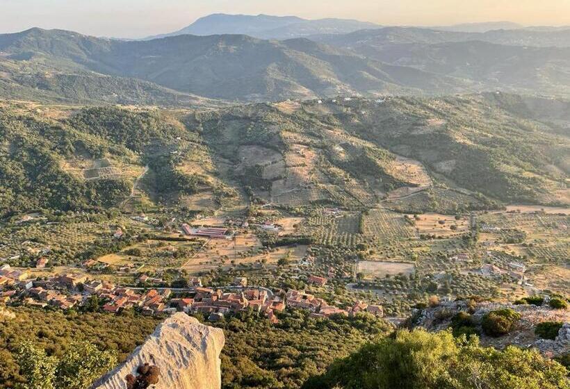 ベッドアンドブレックファースト Apartment Bruno