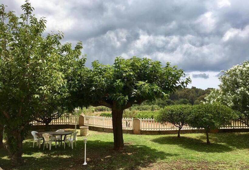 ベッドアンドブレックファースト Sous Les Pins Gîtes Et Chambres D Hôtes